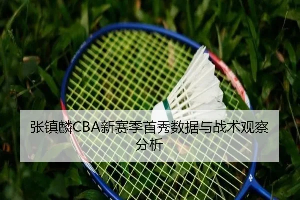 张镇麟CBA新赛季首秀数据与战术观察分析